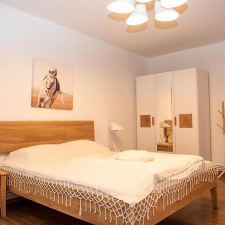Classic Apartment Near The City Center Cluj-Napoca Exterior photo
