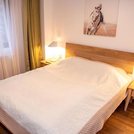 Classic Apartment Near The City Center Cluj-Napoca Exterior photo