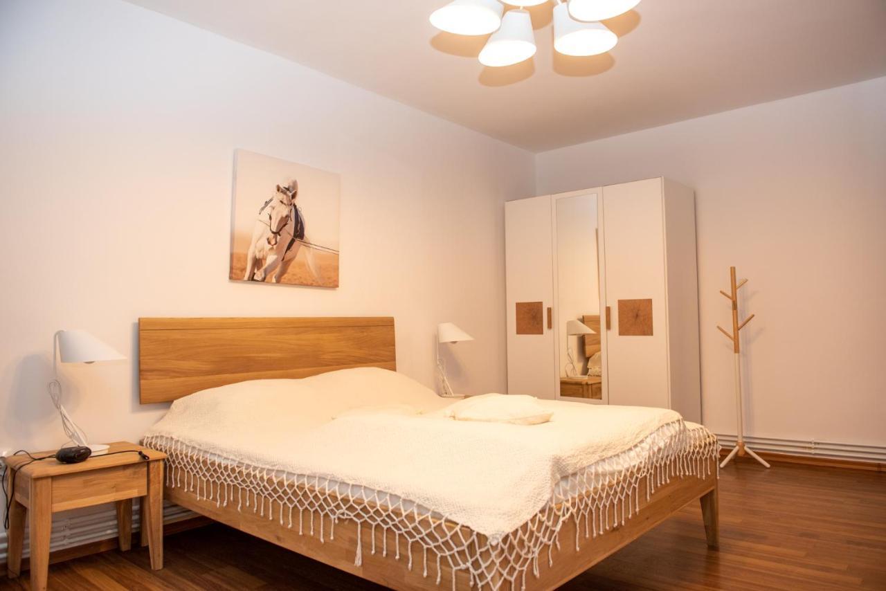 Classic Apartment Near The City Center Cluj-Napoca Exterior photo