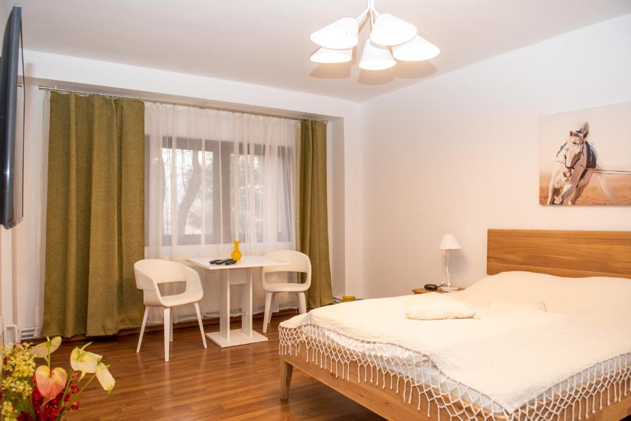 Classic Apartment Near The City Center Cluj-Napoca Exterior photo