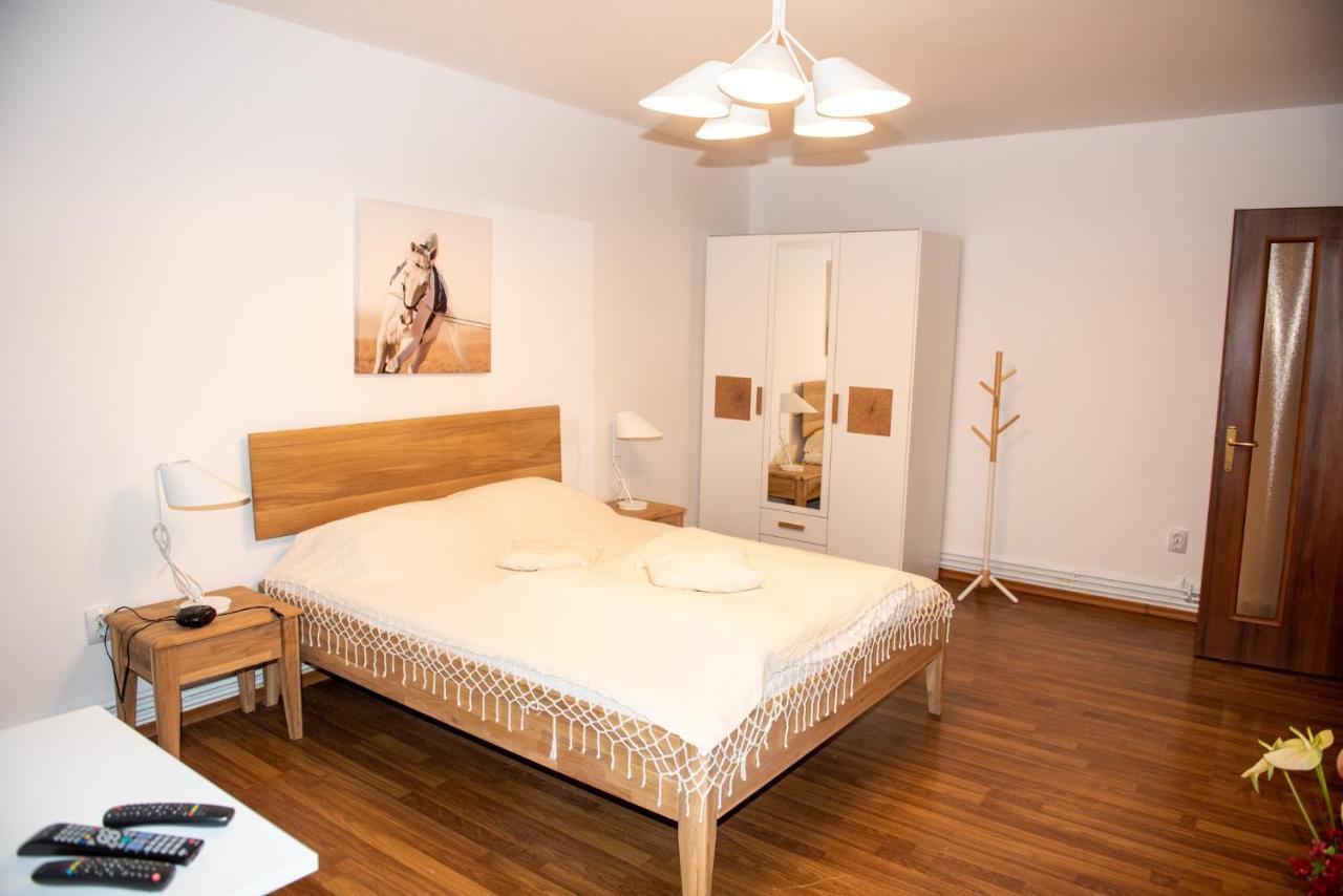 Classic Apartment Near The City Center Cluj-Napoca Exterior photo