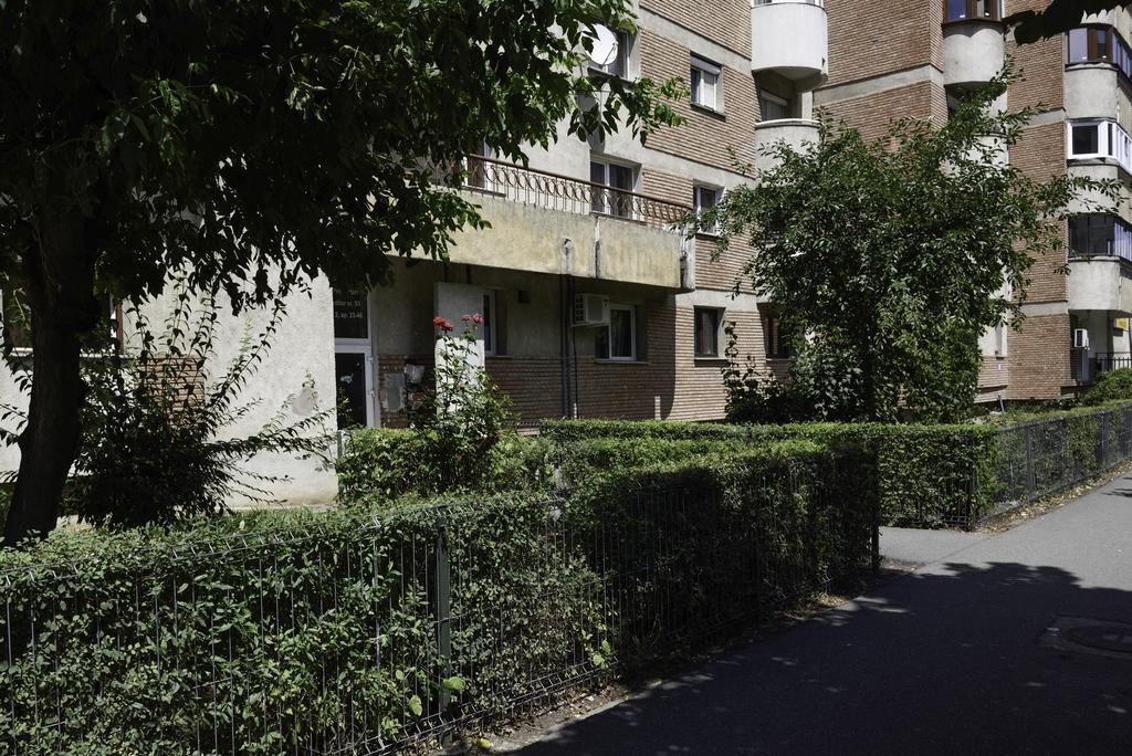 Classic Apartment Near The City Center Cluj-Napoca Exterior photo